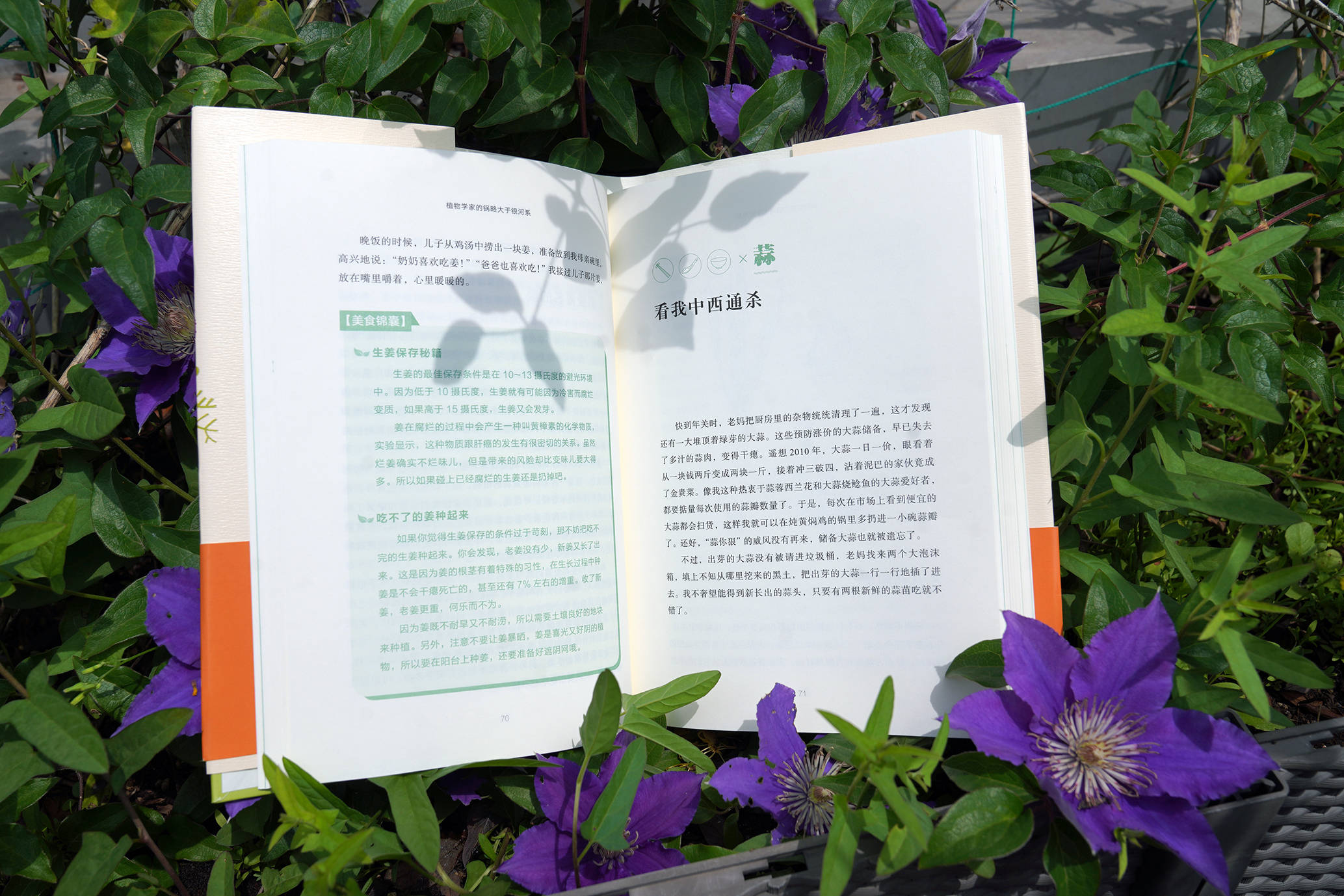 吹膜环评 第269页