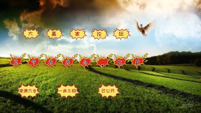 澳门六开奖结果2024开奖今晚,系统评估分析_WYO49.173解谜版