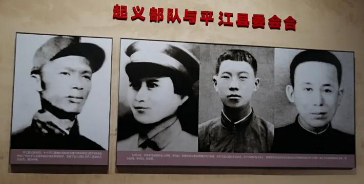 应急预案 第209页
