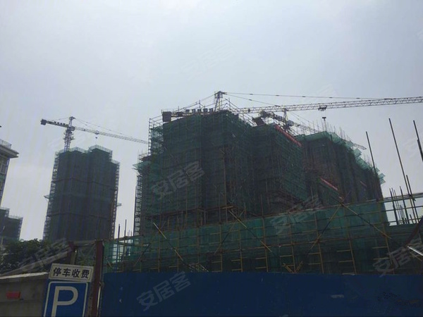 南辰濠郡最新动态与温馨日常