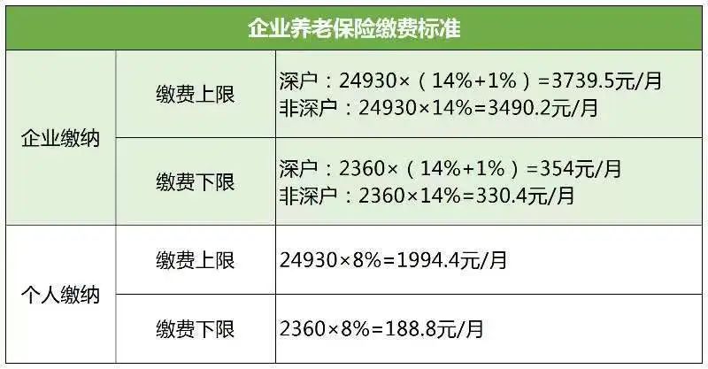 最新缴费年月，开启学习之路，培育自信与成就感的源泉