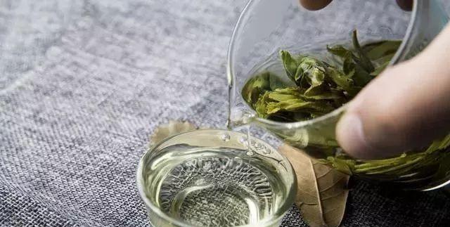 最新泡茶法详解，一步步指南引领你掌握泡茶技巧